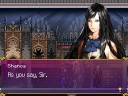 اسکرین‌شات بازی Castlevania: Order of Ecclesia – تصویر 1