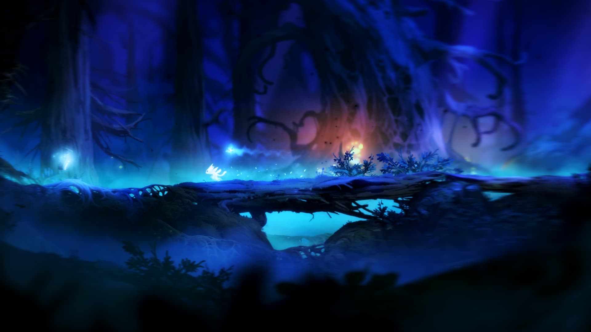 اسکرین‌شات بازی Ori and the Blind Forest – تصویر 5