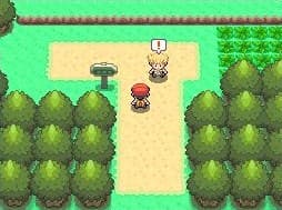 اسکرین‌شات بازی Pokémon Diamond, Pearl – تصویر 2
