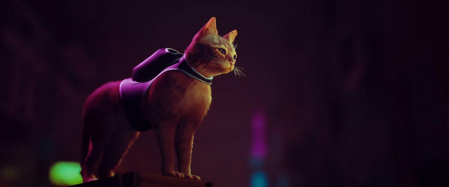 اسکرین‌شات بازی Stray – تصویر 1