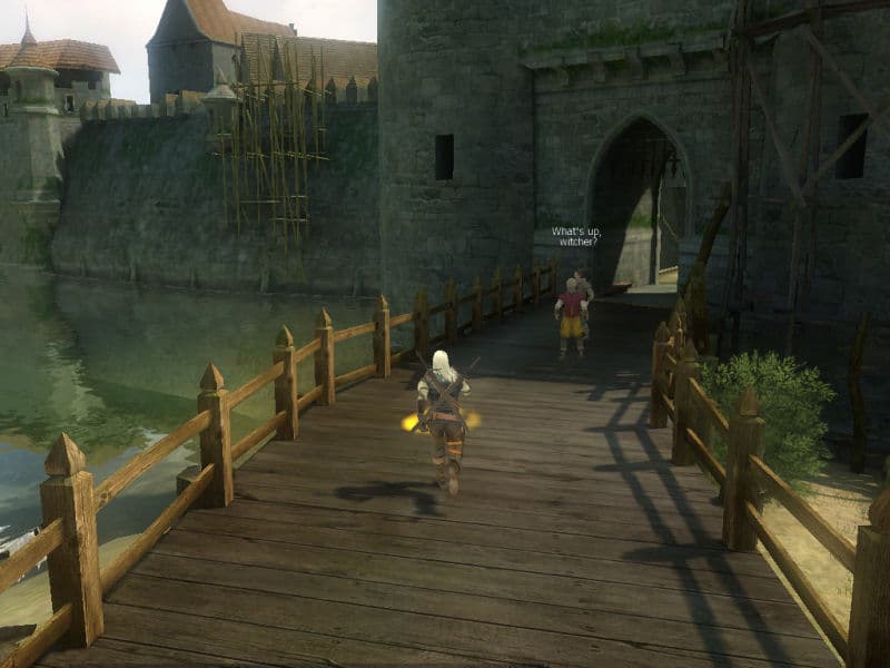 اسکرین‌شات بازی The Witcher – تصویر 1